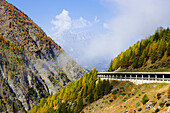 Schweiz, Nebel und Tunnel; Schallbett