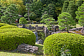 Japan, Plants And Rocks In A Decorative Garden Area; Tokyo