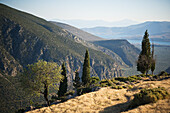 Bergige Landschaft; Delphi, Griechenland