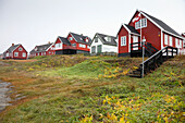 Traditional Houses; Nuuk, Greenland