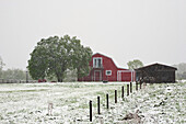 Später Frühlingsschneefall auf einer Farm mit einer roten Scheune; Ville De Lac Brome, Quebec, Kanada