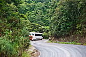 Ein Bus, der auf einer Straße zur Bay Of Islands fährt; Neuseeland