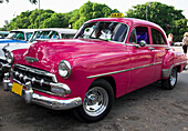 Hellrosa Chevy Taxi geparkt mit anderen Taxis; Havanna, Artemisa, Kuba