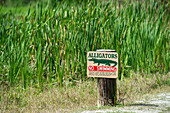 Alligator-Warnschild im Tosohatchee Wildlife Management Area; Florida, Vereinigte Staaten Von Amerika