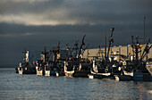 Commercial Fishing Boats Dock To Unload Their Catch; Astoria, Oregon, United States Of America