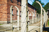 Detail des Stacheldrahtzauns im Konzentrationslager Auschwitz; Osweciem, Polen