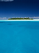 Tropical Seascape, Island with Coconut Palm Trees