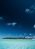 Tropical Seascape, Island with Coconut Palm Trees