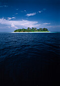 Tropische Meereslandschaft, Insel mit Kokosnusspalmen