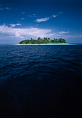 Tropical Seascape, Island with Coconut Palm Trees