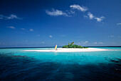 Tropische Meereslandschaft, Insel mit Kokosnusspalmen