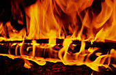 Feuer, brennende Holzscheite
