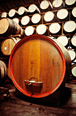Barrels, Vineyard, Winery