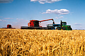 Wheat Harvesting, Australia