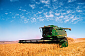 Wheat Harvesting, Australia