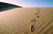 Fußspuren auf Sanddüne, Wüste