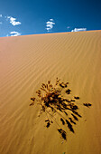 Wüste, Westaustralien, Australien