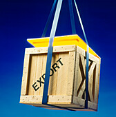 Lifting Export Crate