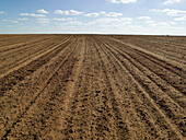 Gepflügtes Feld bereit für die Weizenaussaat, Australien