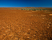 Cracked Earth, Dry Lake Bed, Australia