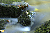 Detail of flowing waters of a little River in autumn in the bavarian forest, Bavaria, Germany.