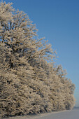 Verschneite Landschaft im Winter, Bayern, Deutschland
