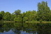 Landschaft eines kleinen Sees im Sommer, Oberpfalz, Bayern, Deutschland.