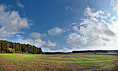 Landschaft mit Feldern im Frühherbst, Oberpfalz, Bayern, Deutschland