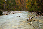 Landscape Partnach Gorge in autumn, Bavaria, Germany