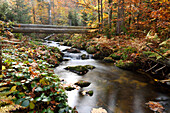 Landscape of a river (Kleine Ohe) flowing through the forest in autumn, Bavarian Forest National Park, Bavaria, Germany
