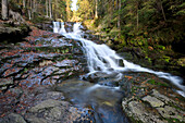 Landschaftlicher Blick auf Wasserfall und Bach im Herbst, Nationalpark Bayerischer Wald, Bodenmais, Landkreis Regen, Bayern, Deutschland