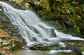 Nahaufnahme von Wasserfall und Bach im Herbst, Nationalpark Bayerischer Wald, Bodenmais, Landkreis Regen, Bayern, Deutschland