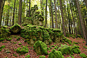 Moosbewachsene Felsen in einem Rotbuchenwald (Fagus sylvatica) im Herbst, Oberpfalz, Bayern, Deutschland