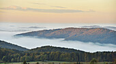 Landschaftlicher Überblick über die Hügel an einem frühen Herbstmorgen mit Nebel, Nationalpark Bayerischer Wald, Bayern, Deutschland