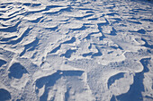 Landscape of Wind Drifts in Snow on Sunny Day in Winter, Upper Palatinate, Bavaria, Germany