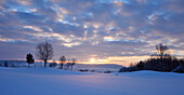 Panoramalandschaft bei Sonnenaufgang am frühen Morgen im Winter, Oberpfalz, Bayern, Deutschland