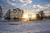 Landscape of Sunrise on Early Morning in Winter, Upper Palatinate, Bavaria, Germany