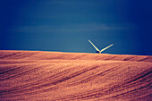 Wind turbine blades sticking up above cut grain field, Canada