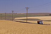 Truck on Road Through Wheat Field Washington State, USA