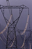 Power Lines, British Columbia, Canada