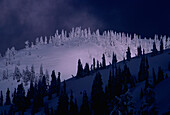 Mount Seymour Vancouver, British Columbia Kanada