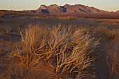 Kelso Dunes, California, USA