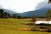 Scenic, Northwest Virginia, USA