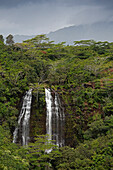 Opaeka'a Wasserfall, Kauai, Hawaii, USA