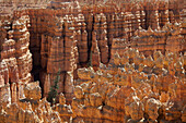 Bryce-Canyon-Nationalpark, Utah, USA
