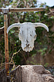 Skull, New Mexico, USA