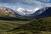 Landschaft mit Bergen, Denali National Park, Alaska, USA