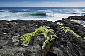 Coastal view of Atlantic Ocean, Aran Islands, Republic of Ireland