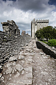 Schloss Blarney, Grafschaft Cork, Republik Irland
