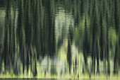 Abstract reflection of green trees in calm water, British Columbia, Canada